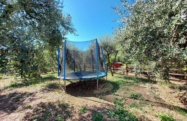 Holiday Home in Tuscany Near Lucca - Foto 29