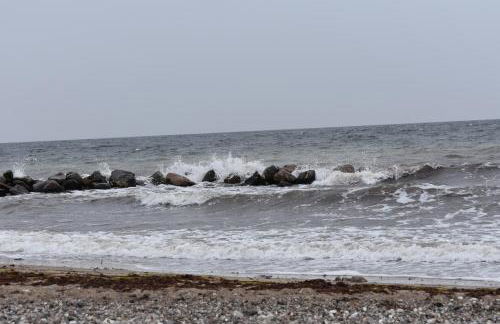 Ostseebauernhof Schönhagen - Foto 52