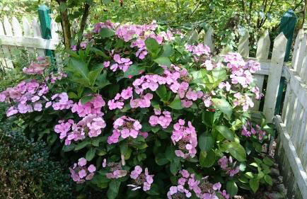 Appartementhof Stadler - Foto 75