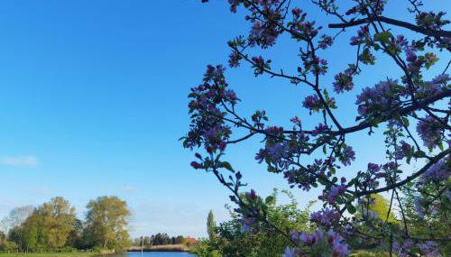 Gästehaus, Ferienwohnung, Monteurwohnung, Stedinger Landhotel - Foto 4, Garden