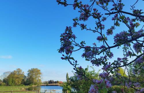 Gästehaus, Ferienwohnung, Monteurwohnung, Stedinger Landhotel - Photo 4