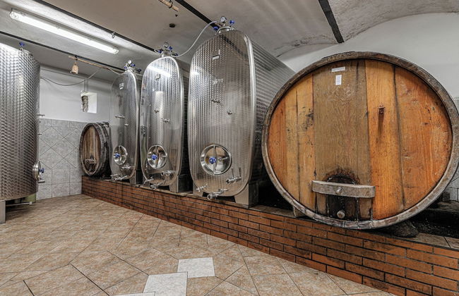 Vineyard Cottage Ucman - Foto 12