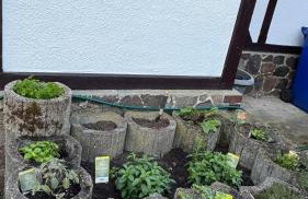 Cottage - Kleine alte Villa am See - Photo 14