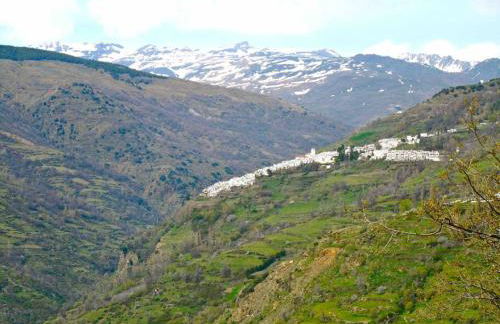 Casa Carmela, rural house with spectacular views, in an exquisite area - Foto 19