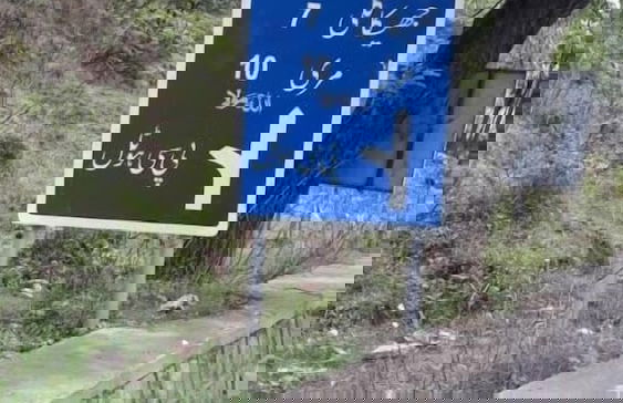 Green Valley Apartments - Photo 20