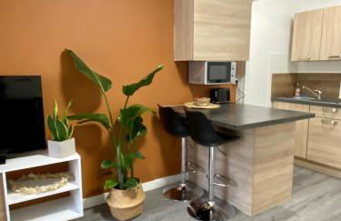 Studio Confort Centre Ville - Foto 6