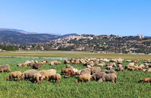 La Rose des Claux - Foto 43