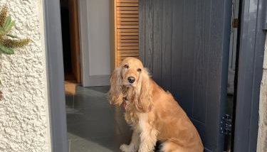 Craster Reach - Photo 2