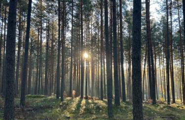 Stodoła Drwęck - Foto 33