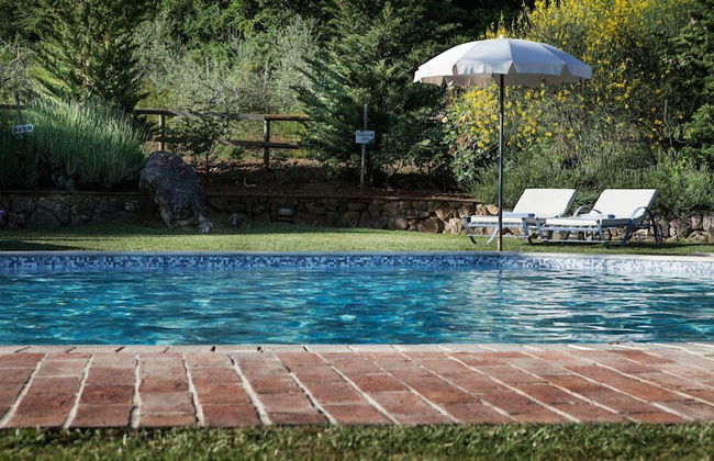 Verdidea - PODERE MONTI - Photo 58