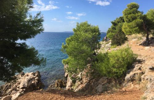 Luxury Seaside Villa with a classic Mediterranean Olive Garden, a fully equipped Professional Kitchen, Pool, Sauna, Padle Boards and Canoe - Miolin Beach House - Photo 74