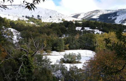 Casa Turismo Rural O FILANDÓN - Foto 17