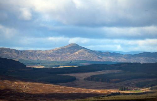 Pigeon Cottage - Luxury country steading - Photo 19