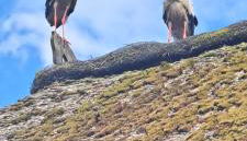 Haus am Fluss und See - Foto 3