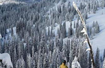 McCall Mountain Getaway - Pet Friendly - Photo 36