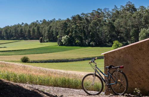 Cal Carulla - Foto 17