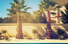 Villa Golden Apple - Foto 56