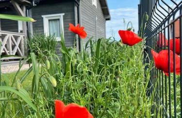 Przystanek Prawdowo - Foto 40