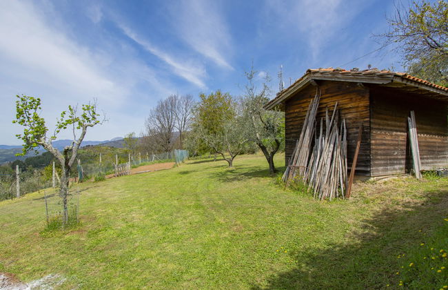 delle Stelle - Foto 23