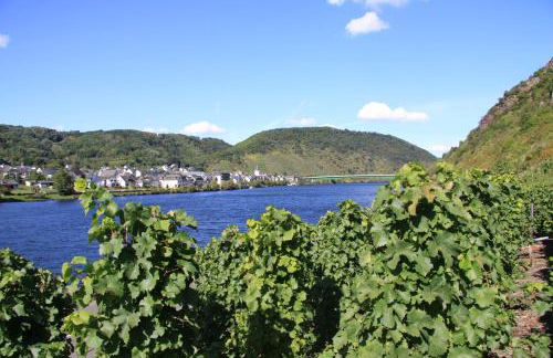 Ferienwohnungen im Moseltal - Foto 72