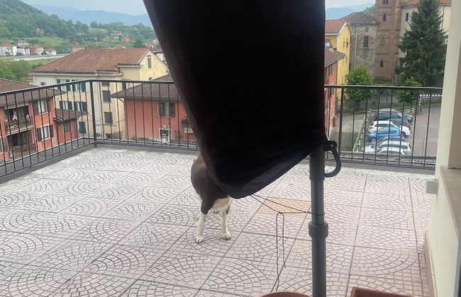 Holiday Home Opatija - Foto 9