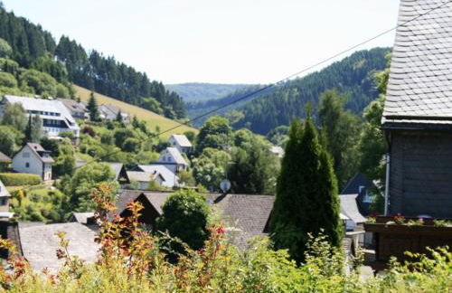 Helle Wohnung bei Willingen mit Terrasse - Foto 19
