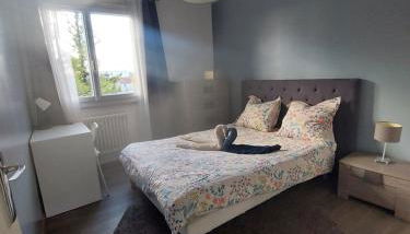 3 chambres dans grand T4 Proche Lac, ENTPE, Planétarium & Autoroute - Foto 4