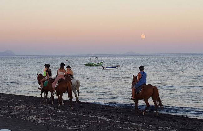 Room in Studio - Pleasure Studios1 Person 3 - Foto 26