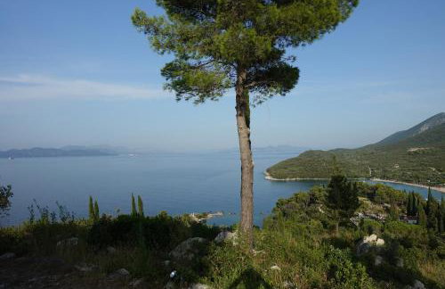 Klimatisiertes Apartment Barbara - Foto 39