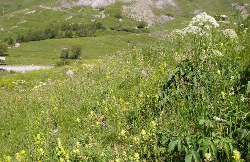 Résidence de Tourisme La Meije Blanche - Photo 72