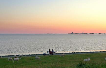 Wattenblick - Foto 29