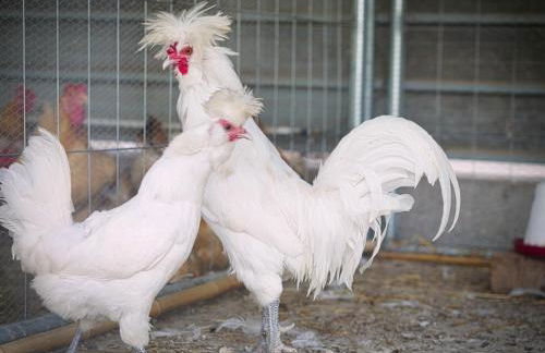 Agriturismo Quadrifoglio Relax - Foto 85