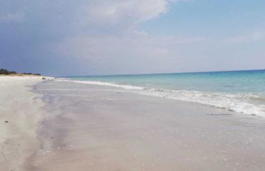 maison de plain pied a 1 km de la mer , avec piscine securisée - Foto 26