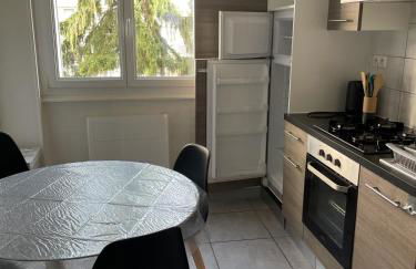 Appartement Spacieux et chic à Clermont-Ferrand - Foto 9