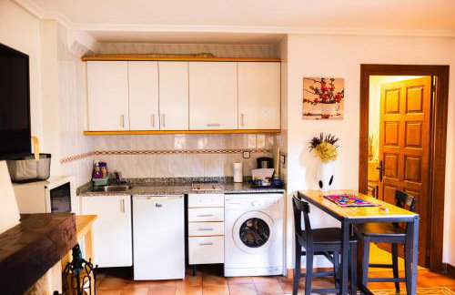 Apartamentos Nevandi - Photo 46