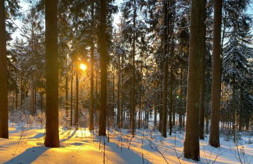 Chalet Hüttenzauber - Foto 28