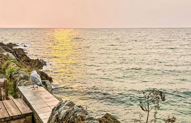 Dreckly Tides - Foto 9