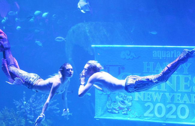 Acuario y Museo Trick Eye - Foto 3