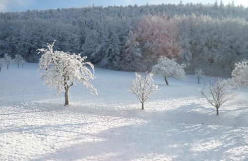 Ferienwohnung Moog - Foto 18
