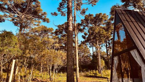 Chalé Araucárias Cambará do Sul - Foto 3