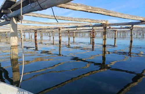 LoftCalJoan - Foto 17