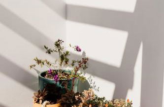 Villa Sal - Porto Covo - Foto 20