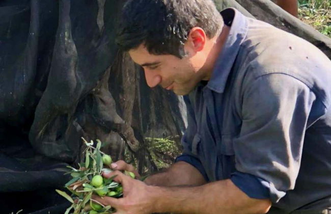 Visita a una almazara y su olivar + Cata de aceite - Foto 7