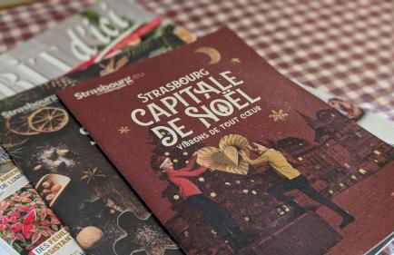 Les Perles du Ried - Gîte 8 - 15mn Europapark - proche Strasbourg Colmar - Foto 18