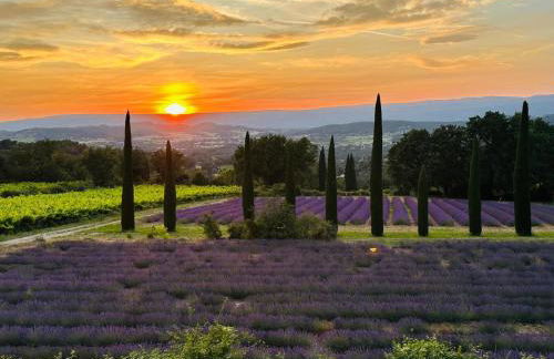 Côté Terrasse - Photo 29
