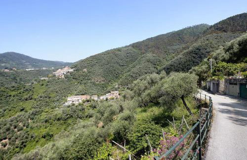 Green Cactus House - Foto 7