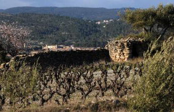 Maison vigneronne de Bonne Maman - climatisée - Foto 63
