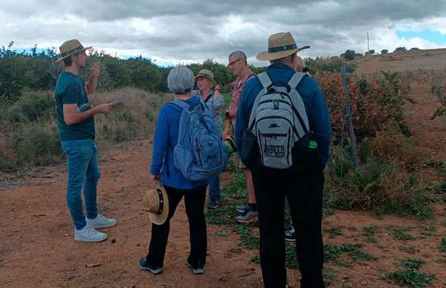 Excursión a Álora + Cata de vinos - Foto 2