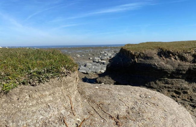 Bungalow in Sondel Near Slotermeer Lake - Foto 25