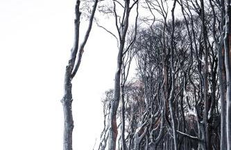 Ferienwohnung Sommerwind - Foto 23